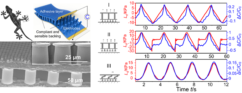 微信圖片_20211109140920.png 微信圖片_20211109140920.png