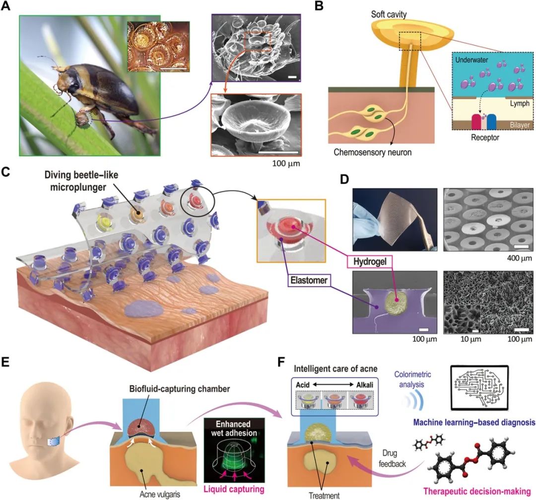 微信圖片_20211109144101.jpg 微信圖片_20211109144101.jpg