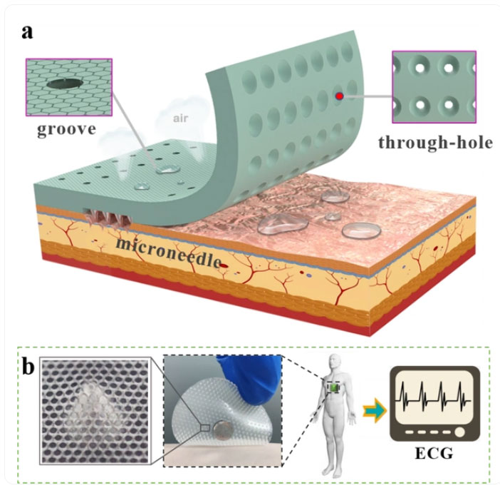 ACS AMI新聞圖片1.jpg