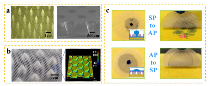 ACS AMI新聞圖片2.jpg ACS AMI新聞圖片2.jpg