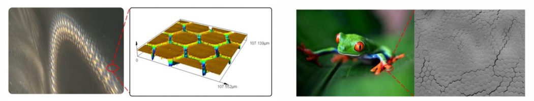 QQ20241126-181741.jpg QQ20241126-181741.jpg