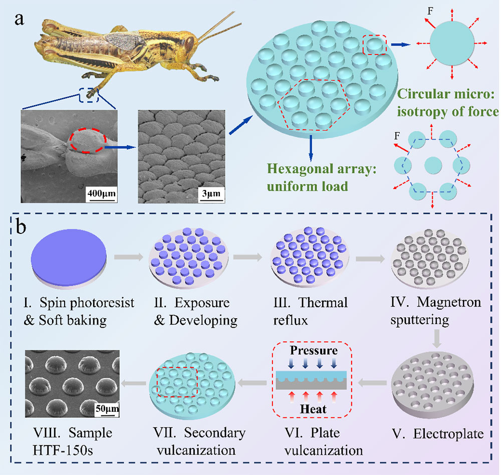 圖片2.jpg 圖片2.jpg