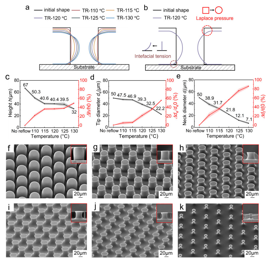 圖片-2.jpg 圖片-2.jpg