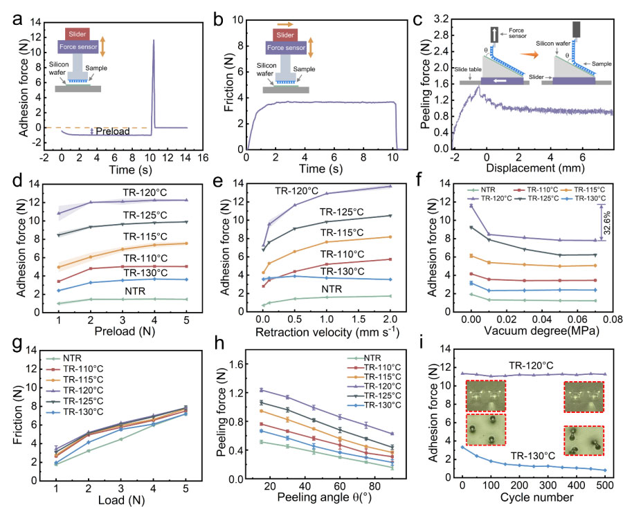 圖片-3.jpg 圖片-3.jpg
